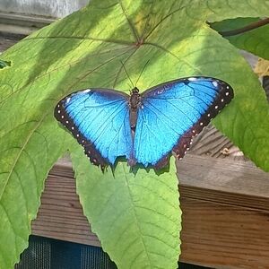 Meet your Posher, Kara